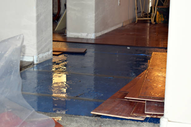 Professional Basement Flood Cleanup technician working in Hobart, WI